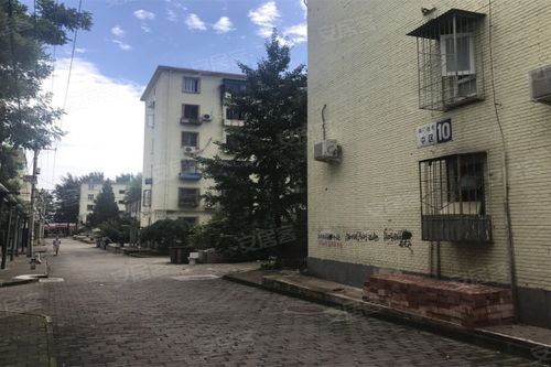 南廠住宅 中區(qū) 優(yōu)點(diǎn) 不足,南廠住宅 中區(qū) 怎么樣,南廠住宅 中區(qū) 周邊房產(chǎn)中介經(jīng)紀(jì)人評(píng)價(jià)